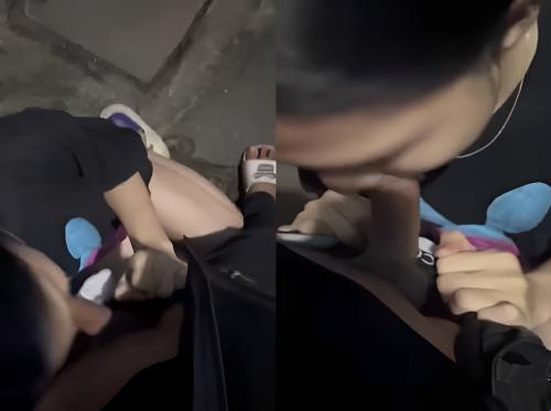 Bú cu ngoài trời với em rau dâm